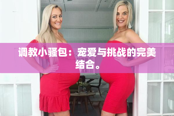 调教小骚包：宠爱与挑战的完美结合。