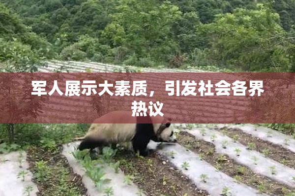 军人展示大素质，引发社会各界热议