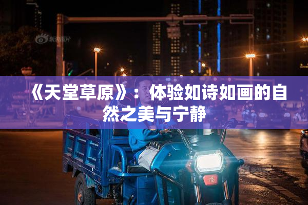 《天堂草原》：体验如诗如画的自然之美与宁静