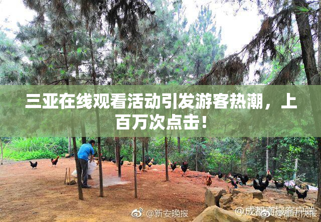 三亚在线观看活动引发游客热潮，上百万次点击！