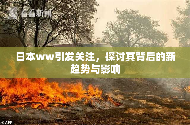 日本ww引发关注，探讨其背后的新趋势与影响