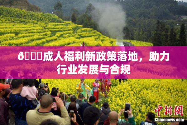 🔞成人福利新政策落地，助力行业发展与合规