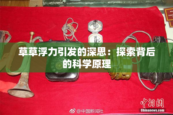 草草浮力引发的深思：探索背后的科学原理