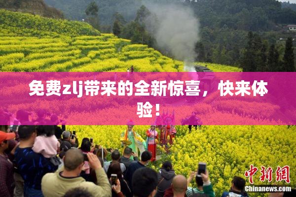 免费zlj带来的全新惊喜，快来体验！