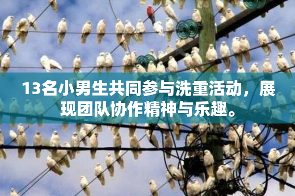 13名小男生共同参与洗重活动，展现团队协作精神与乐趣。