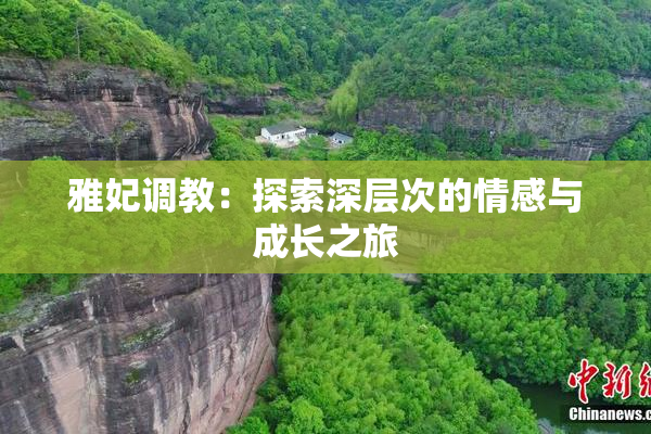 雅妃调教：探索深层次的情感与成长之旅