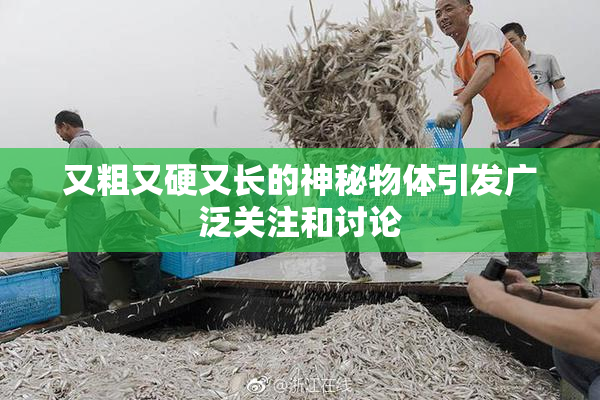 又粗又硬又长的神秘物体引发广泛关注和讨论