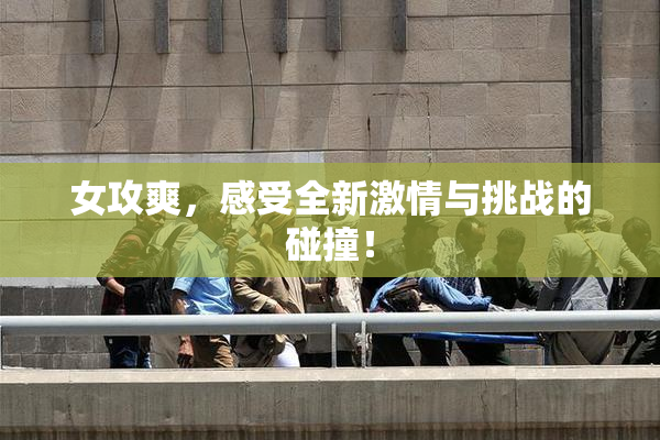 女攻爽，感受全新激情与挑战的碰撞！