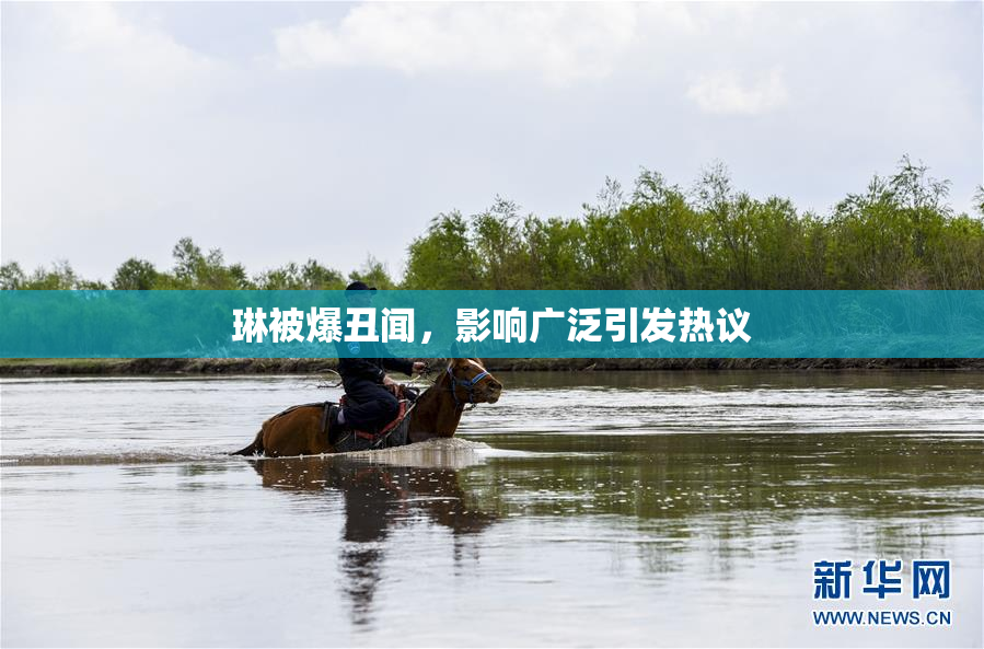 琳被爆丑闻，影响广泛引发热议