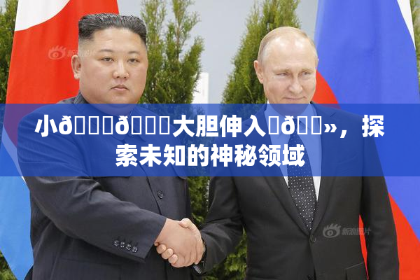 小🐔🐔大胆伸入‌🐻，探索未知的神秘领域