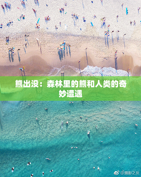 熊出没：森林里的熊和人类的奇妙遭遇