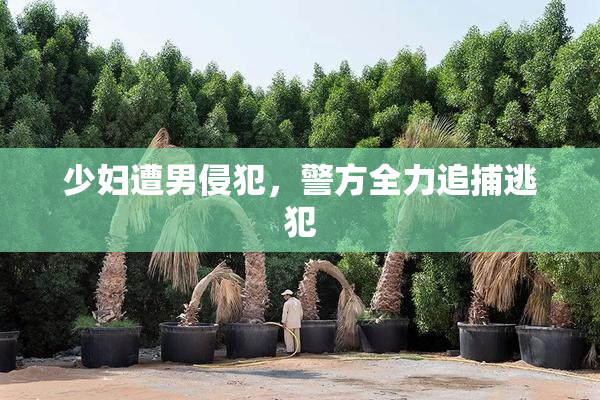 少妇遭男侵犯，警方全力追捕逃犯