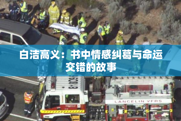 白洁高义：书中情感纠葛与命运交错的故事