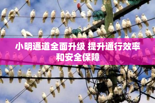 小明通道全面升级 提升通行效率和安全保障