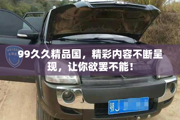 99久久精品国，精彩内容不断呈现，让你欲罢不能！