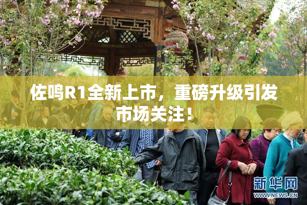 佐鸣R1全新上市，重磅升级引发市场关注！