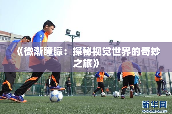 《微渐瞳朦：探秘视觉世界的奇妙之旅》