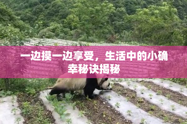 一边摸一边享受，生活中的小确幸秘诀揭秘