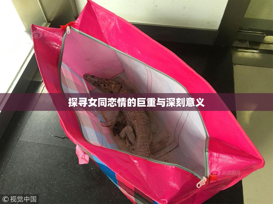 探寻女同恋情的巨重与深刻意义