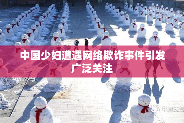 中国少妇遭遇网络欺诈事件引发广泛关注