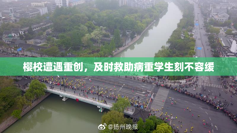 樱校遭遇重创，及时救助病重学生刻不容缓