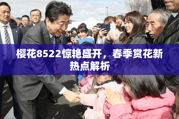 樱花8522惊艳盛开，春季赏花新热点解析
