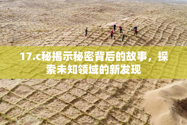 17.c秘揭示秘密背后的故事，探索未知领域的新发现