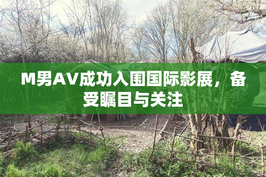 M男AV成功入围国际影展，备受瞩目与关注