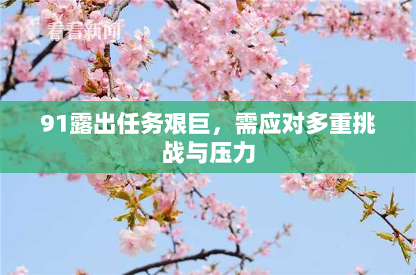 91露出任务艰巨，需应对多重挑战与压力