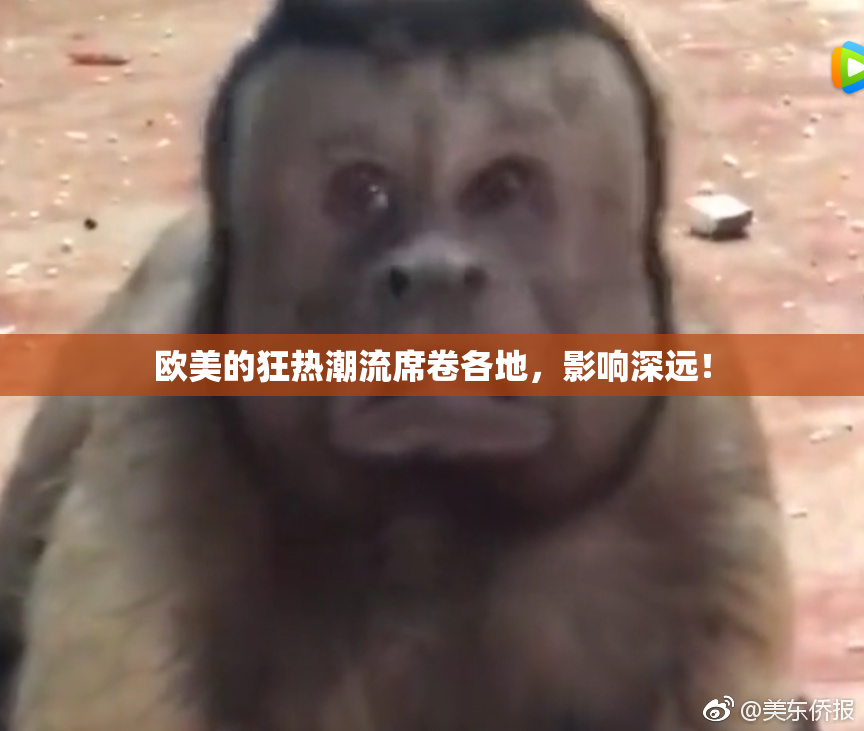 欧美的狂热潮流席卷各地，影响深远！
