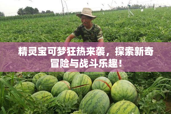 精灵宝可梦狂热来袭，探索新奇冒险与战斗乐趣！