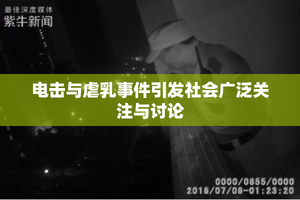 电击与虐乳事件引发社会广泛关注与讨论
