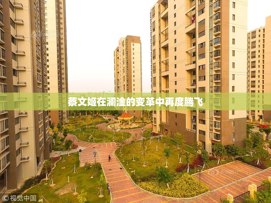 蔡文姬在澜淦的变革中再度腾飞