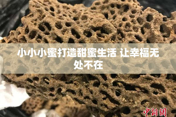 小小小蜜打造甜蜜生活 让幸福无处不在