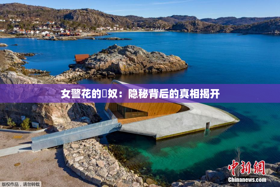 女警花的婬奴：隐秘背后的真相揭开