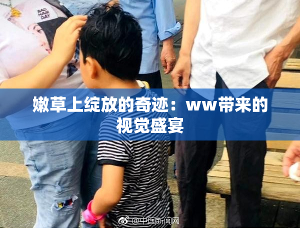 嫩草上绽放的奇迹：ww带来的视觉盛宴