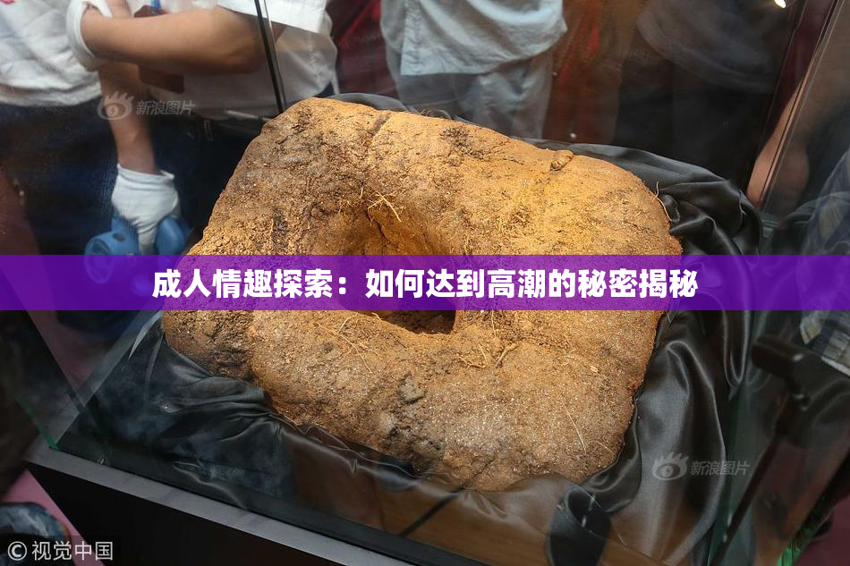 成人情趣探索：如何达到高潮的秘密揭秘