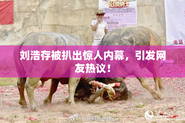 刘浩存被扒出惊人内幕，引发网友热议！