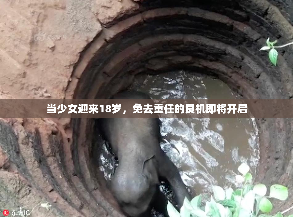 当少女迎来18岁，免去重任的良机即将开启