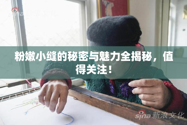 粉嫩小缝的秘密与魅力全揭秘，值得关注！
