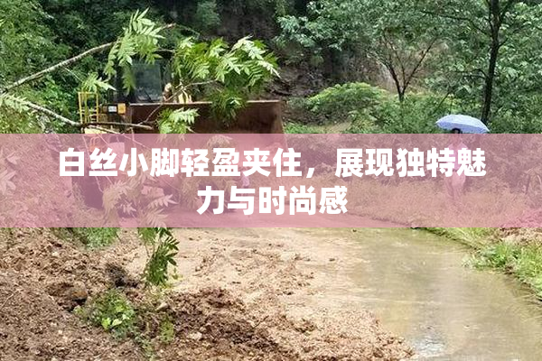 白丝小脚轻盈夹住，展现独特魅力与时尚感