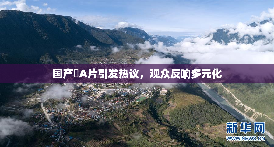 国产婬A片引发热议，观众反响多元化