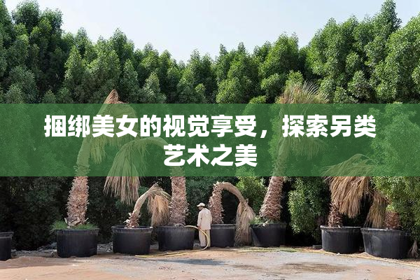 捆绑美女的视觉享受，探索另类艺术之美