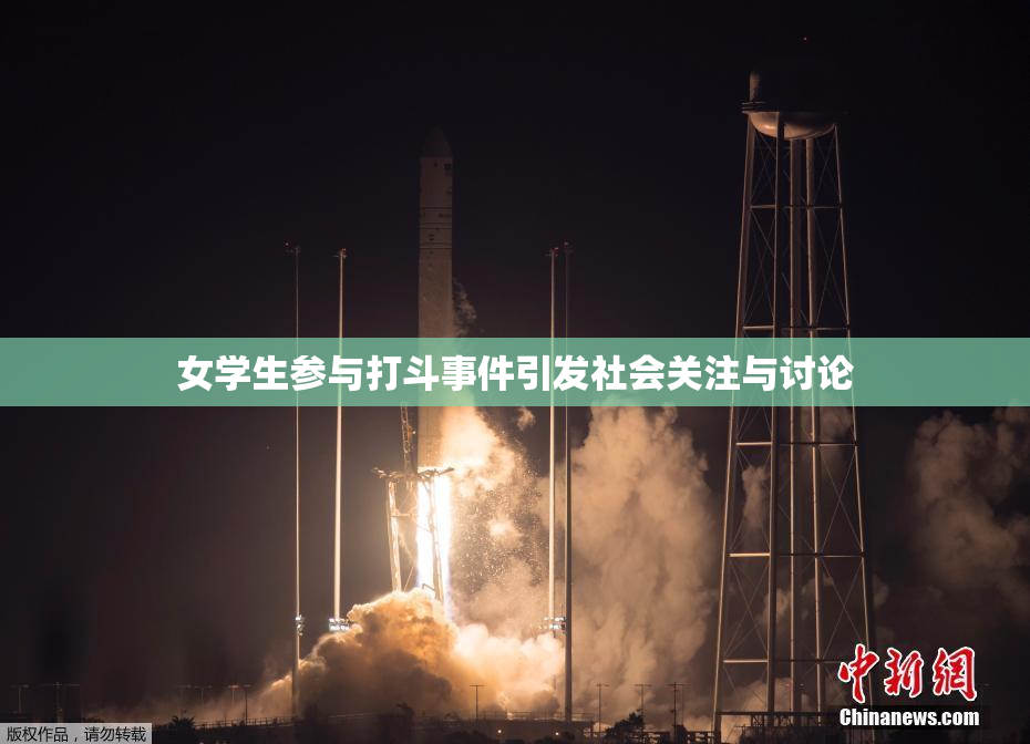 女学生参与打斗事件引发社会关注与讨论