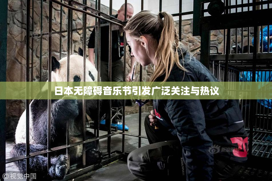 日本无障碍音乐节引发广泛关注与热议