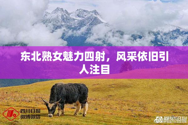 东北熟女魅力四射，风采依旧引人注目