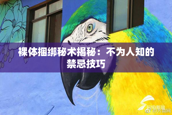 裸体捆绑秘术揭秘：不为人知的禁忌技巧
