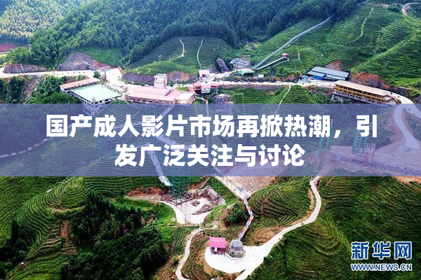 国产成人影片市场再掀热潮，引发广泛关注与讨论