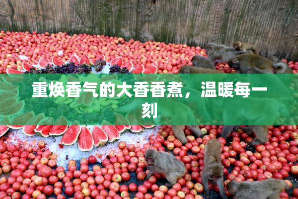 重焕香气的大香香煮，温暖每一刻