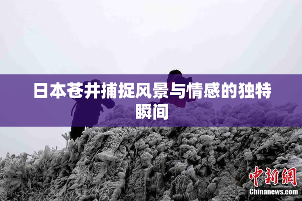 日本苍井捕捉风景与情感的独特瞬间